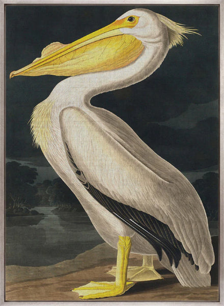 Exquisite Bird II X large 1048 w x 1458
