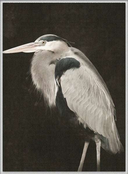East Hampton Heron III (Canvas) Large 903x1109