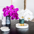 Basic Hexagonal Coaster (Set of 6)