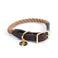 Dark Tan Adjustable Dog Collar