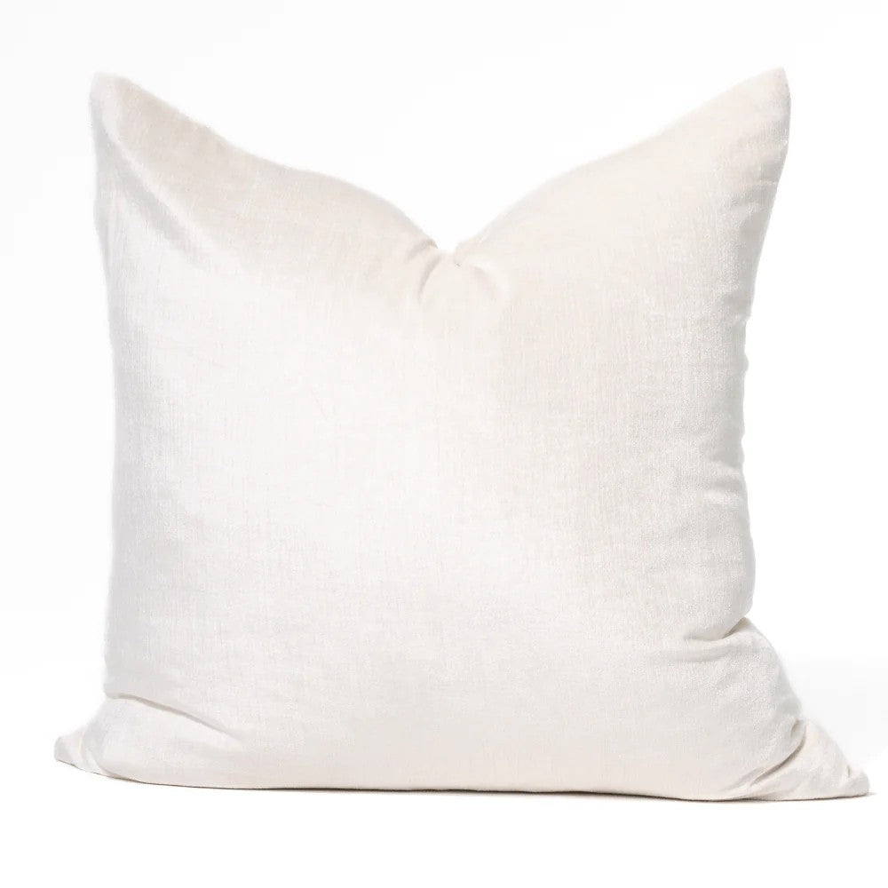 Plush Velvet Cushion 65x65