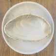Dish Coconut Shell